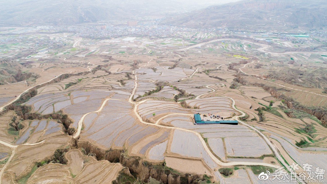 ks便宜24小时业务