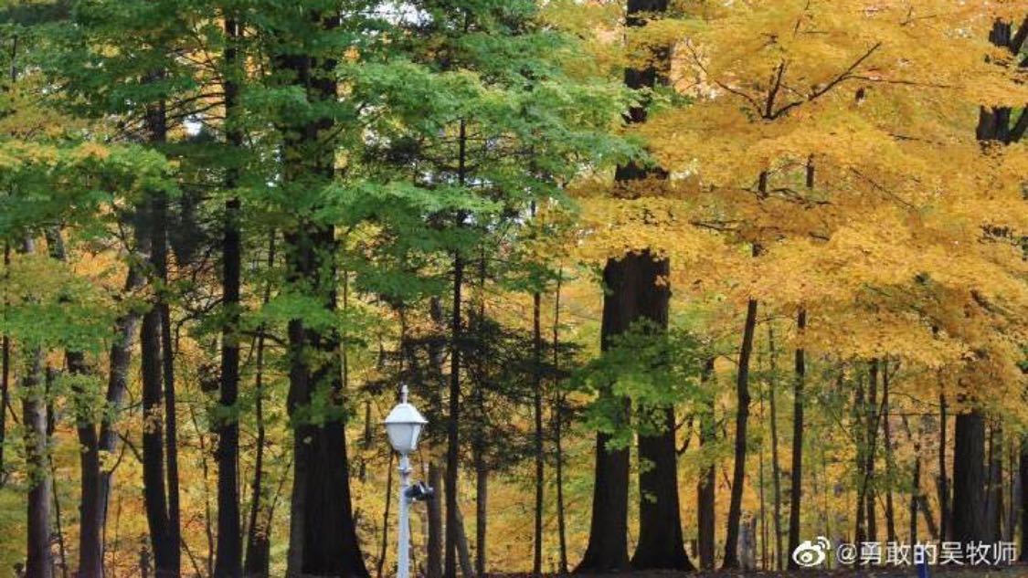 抖音秒赞50个：自媒体账号互动快速增粉技巧_抖音评论赞自助下单平台便宜