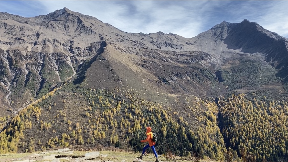 抖音双击自助下单卡盟：电商营销助手提升平台推广效果